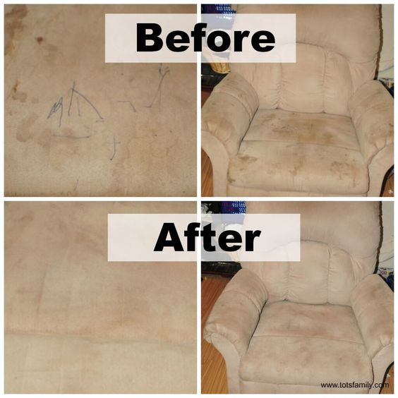 Sanitizing Shampoo Sofa Mattress Carpet Chair Rug Carpet Clean