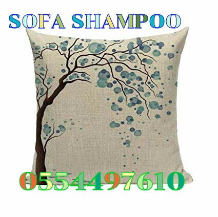 Carpet Deep Shampoo Sofa Deep Cleaning 0554497610