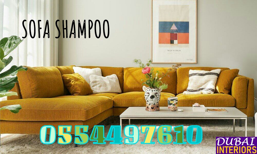 Sofa Carpet Mattress Deep Shampoo Cleaning Experienced Cleaner