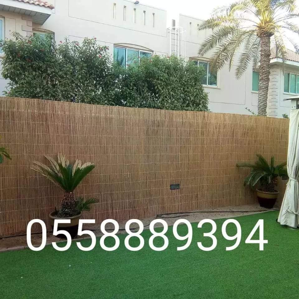 Bamboo Fence for Sale in Dubai