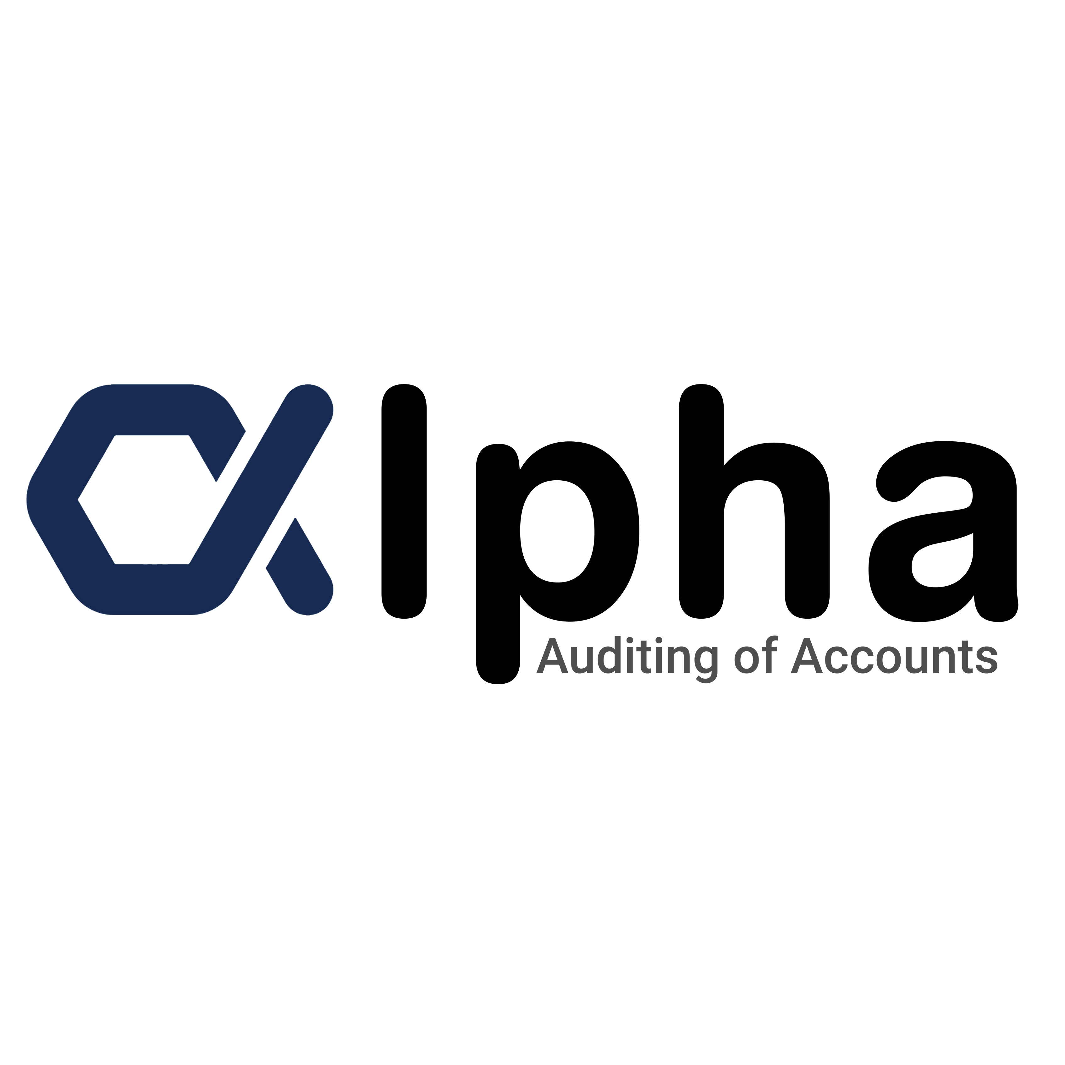 Alpha Audit And Accounting Firm In Dubai