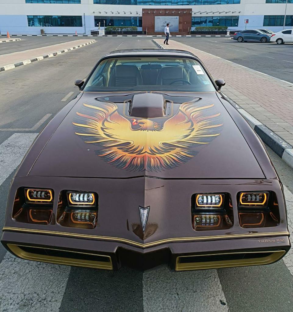 Pontiac Trans Am 1981 American Muscle Final Year Production Well Kept