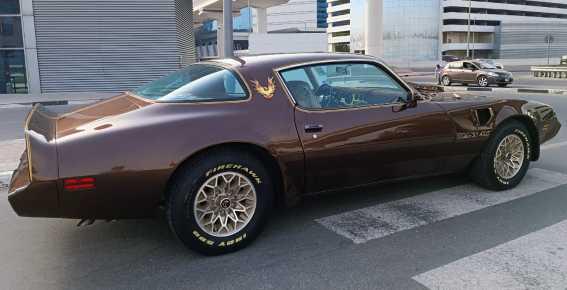 1981 Pontiac Trans Am Final Year Production Well Kept American Muscle