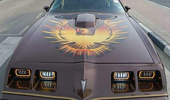 1981 Pontiac Trans Am Final Year Production Well Kept American Muscle