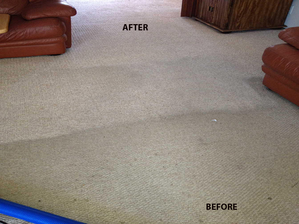 Carpet Cleaning Services Dubai Ajman Sharjah 0563129254