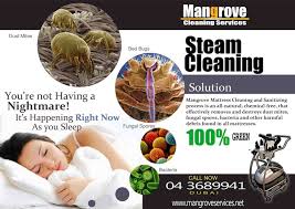 Professional Deep Steam Cleaning Service With Shampooing