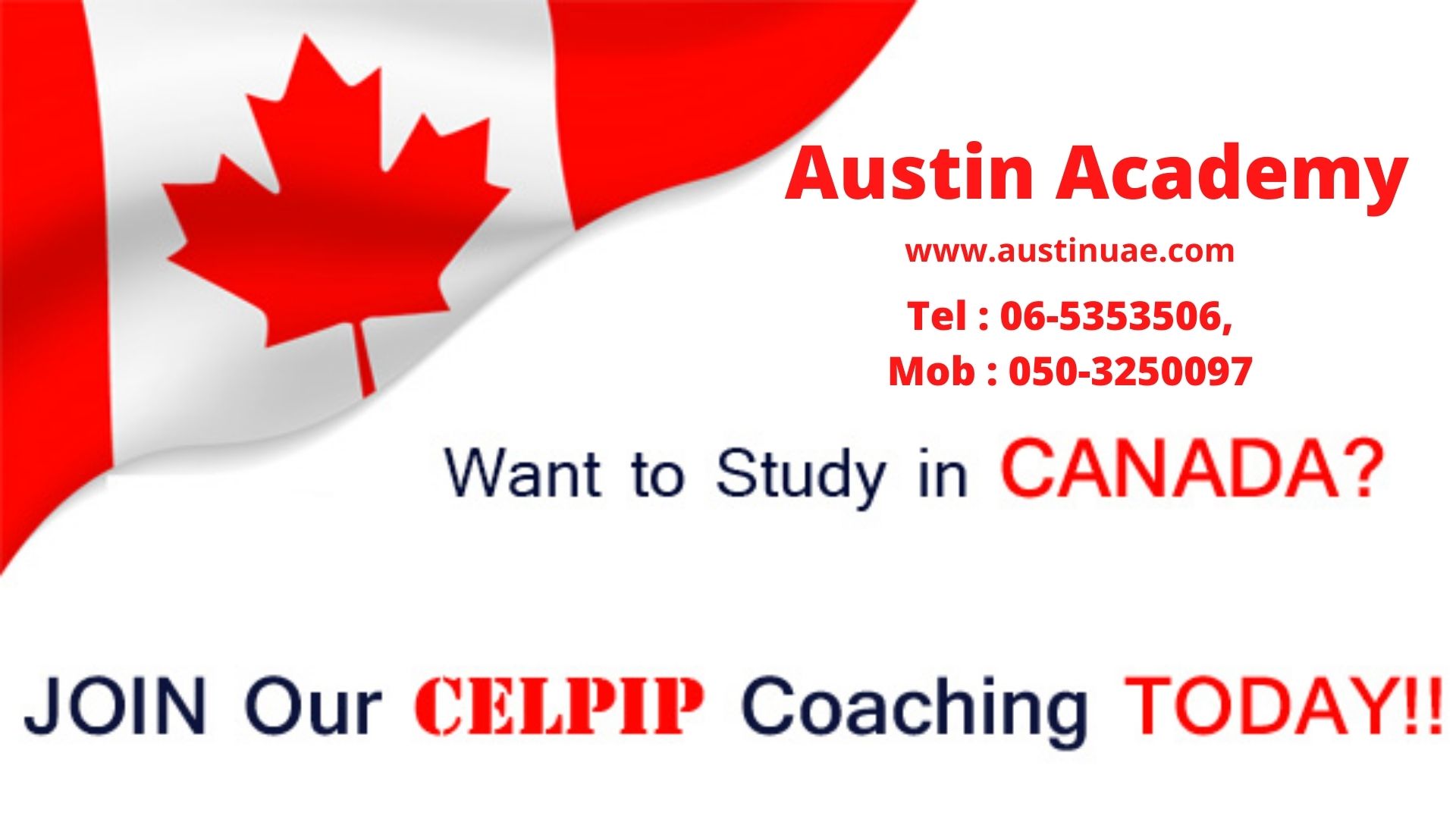 Celpip Classes In Sharjah With Best Offer 0588197415