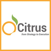 Citrus Consulting Services in Dubai