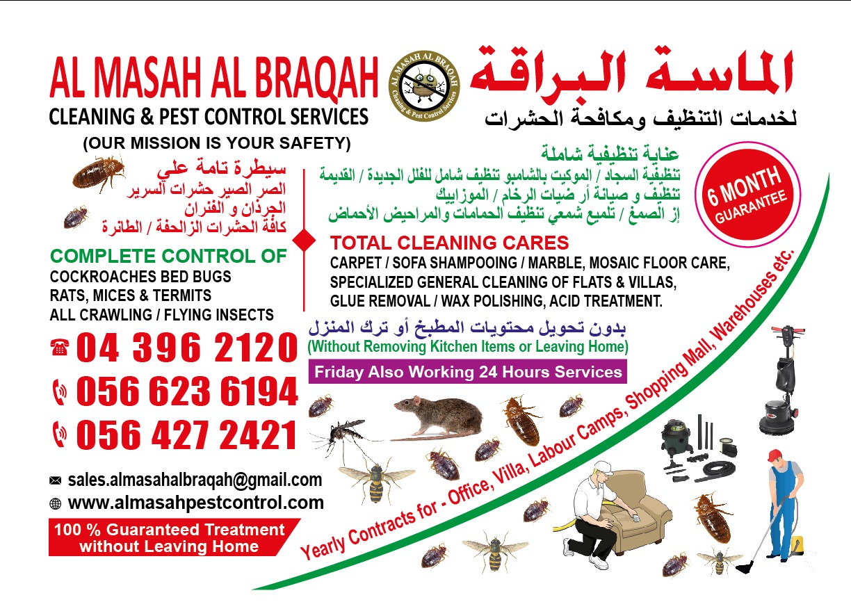 Pest Control And Cleaning Services in Dubai