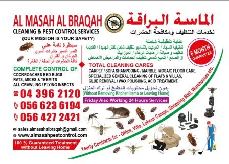Pest Control And Cleaning Services in Dubai