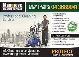 Professional Deep Steam Cleaning Service With Shampooing