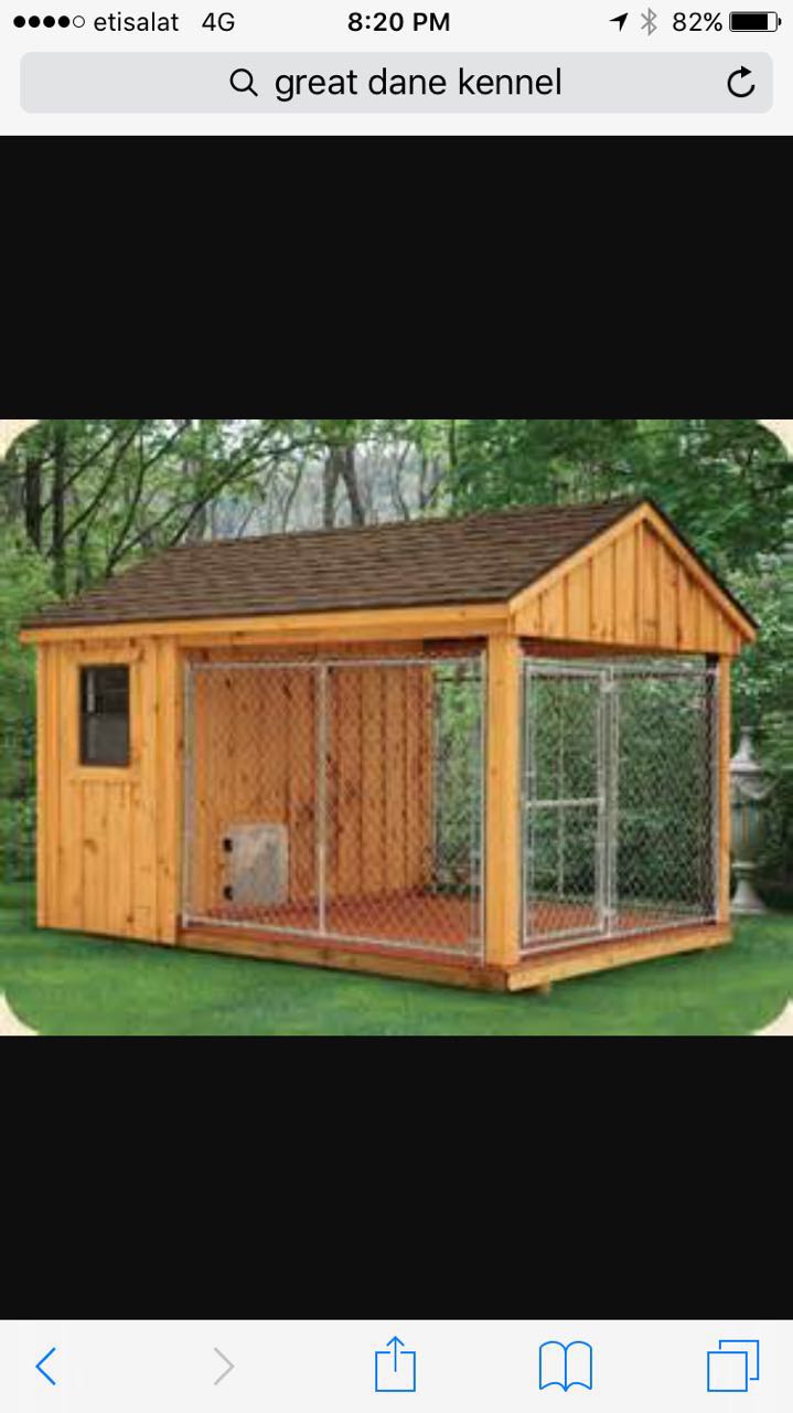 Call 055 2196 236 For A Large Or Small Dog House With Ac And Lighting