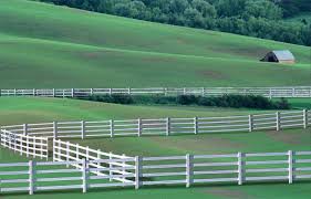 Call 055 2196 236 For A Fencing Contractor For Wood, Aluminum, Glass, And Swimming Pool Fences