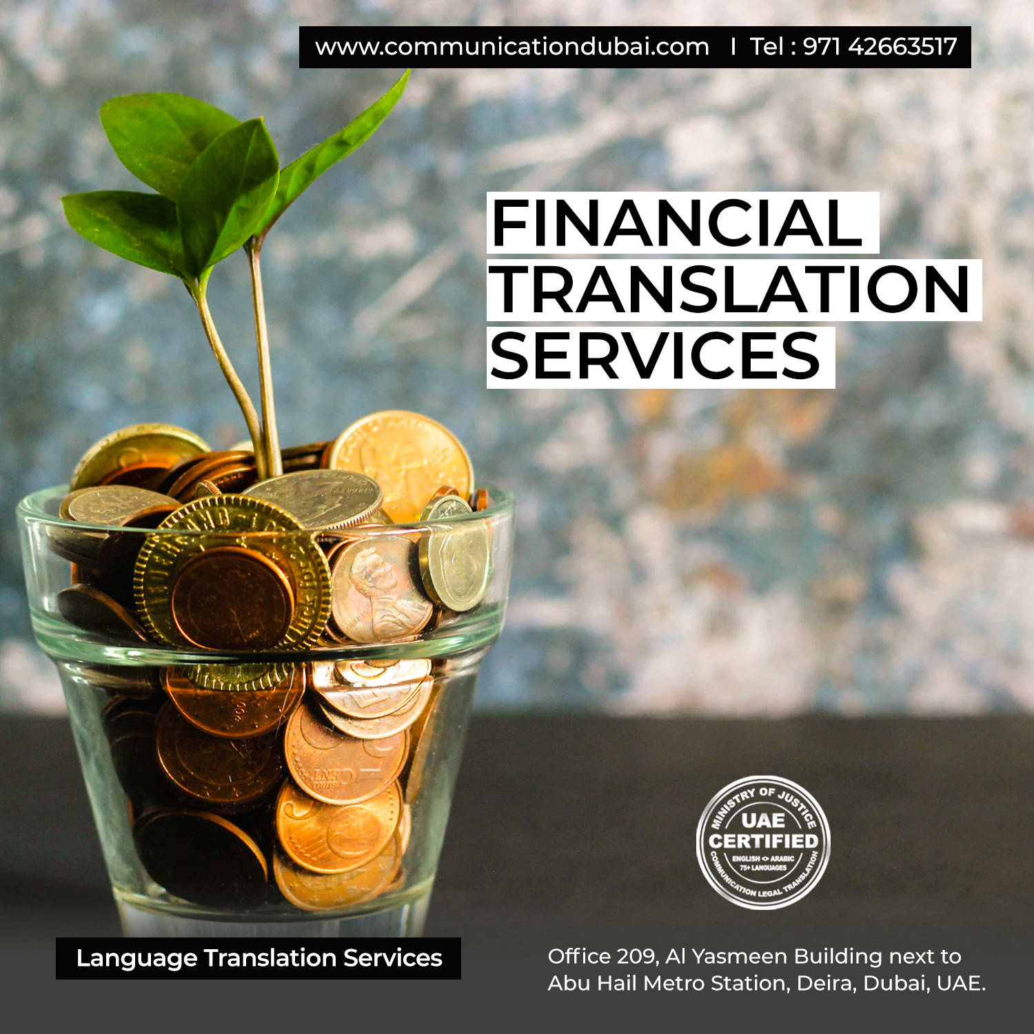 Financial Translation Services in Dubai