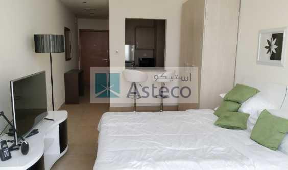 Furnished Studio Apartment  Higher Floor No Balcony View