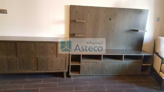 1 Bedroom Apartment  All Bills Included Fully Furnished