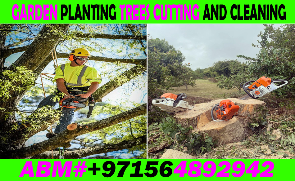 Garden Trees Cutting Cleaning And Maintenance Contractor In Uae