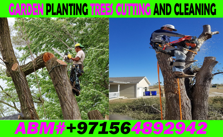 Garden Trees Cutting Cleaning And Maintenance Contractor In Uae