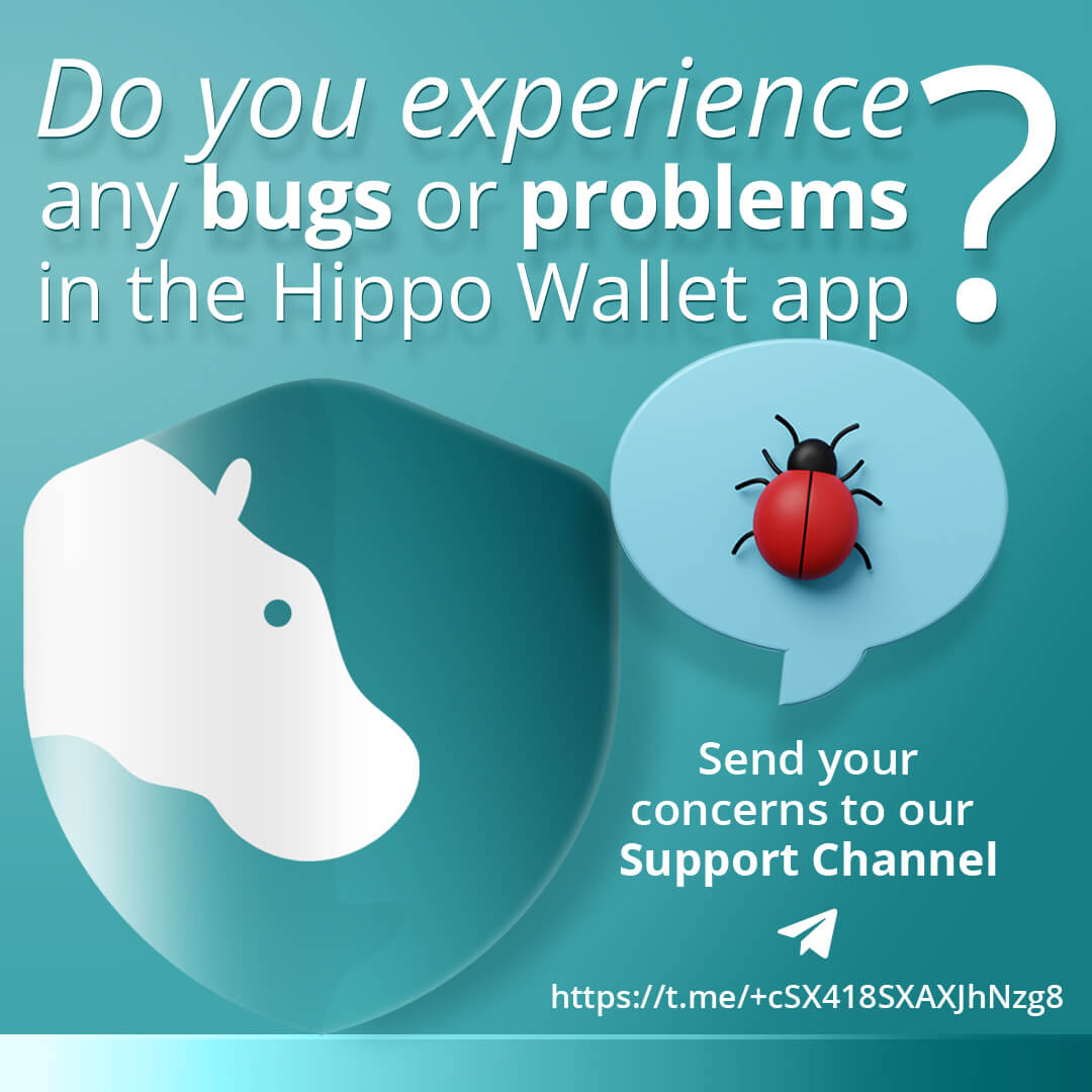 Hippo Wallet Support Channel in Dubai