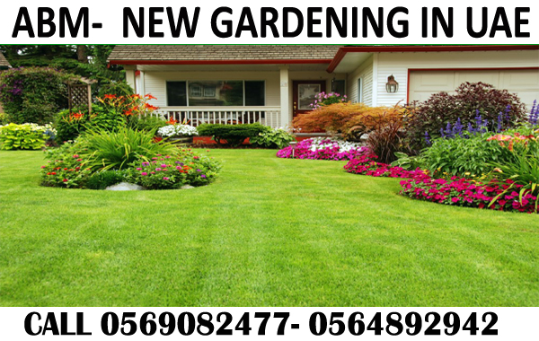 Garden Maintenance And Cleaning Service In Dubai Ajman Sharjah