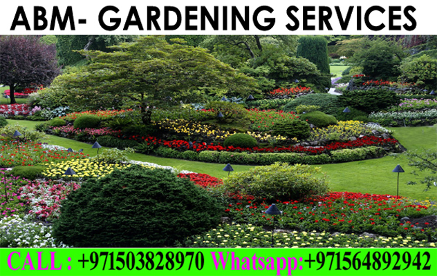 Garden Cleaning And Maintenance Contractor