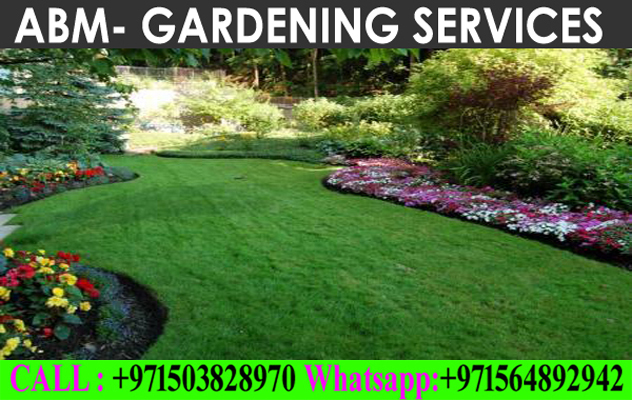 Irrigation And Landscaping Services In Dubai Ajman Sharjah