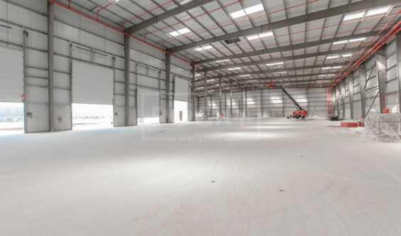Industrial Massive Warehouse In Jafza