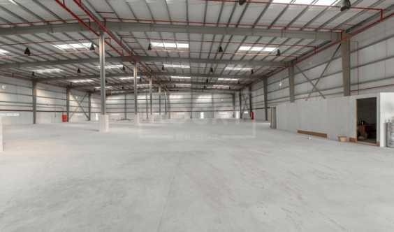 Massive Fitted Warehouse Available In Jafza