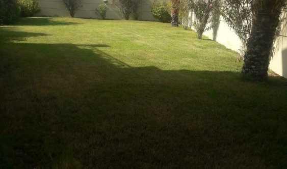 4 Bedrooms Legacy Upgraded Good Location Big Plot