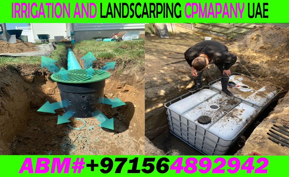 Garden Trees Cutting Cleaning And Maintenance Contractor In Uae