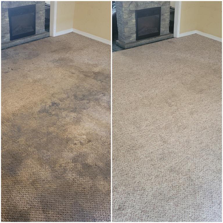 Residential And Commercial Carpet Cleaning