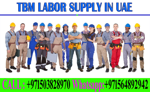 Daily Basic Labor Supply In Ajman Dubai Sharjah Abudhabi