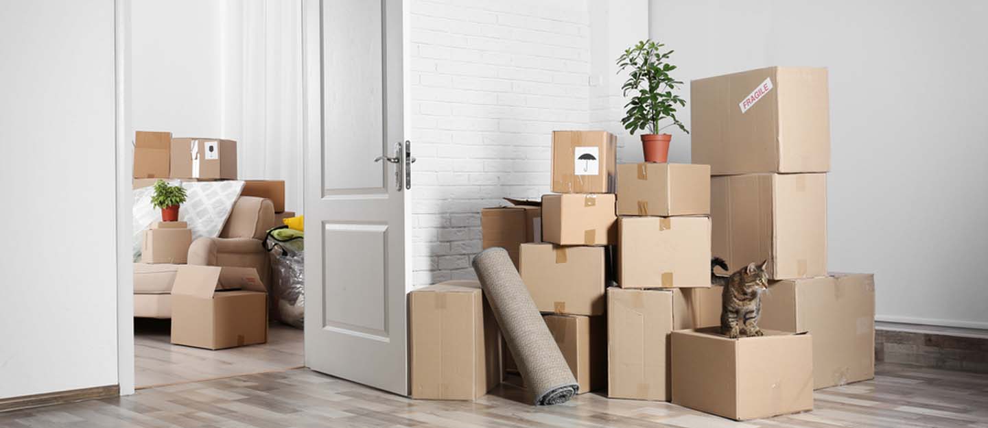 Ak Movers Packers In All Uae 0567366800