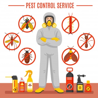 Municipality Approved Pest Control Services Dubai Sharjah Ajman Etc