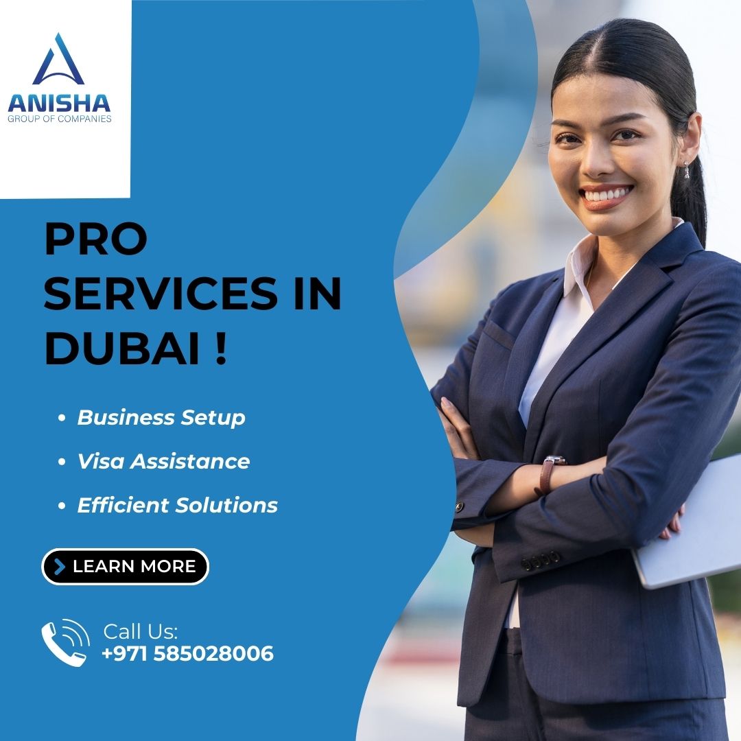 Unleash Excellence With Our Pro Services In Dubai