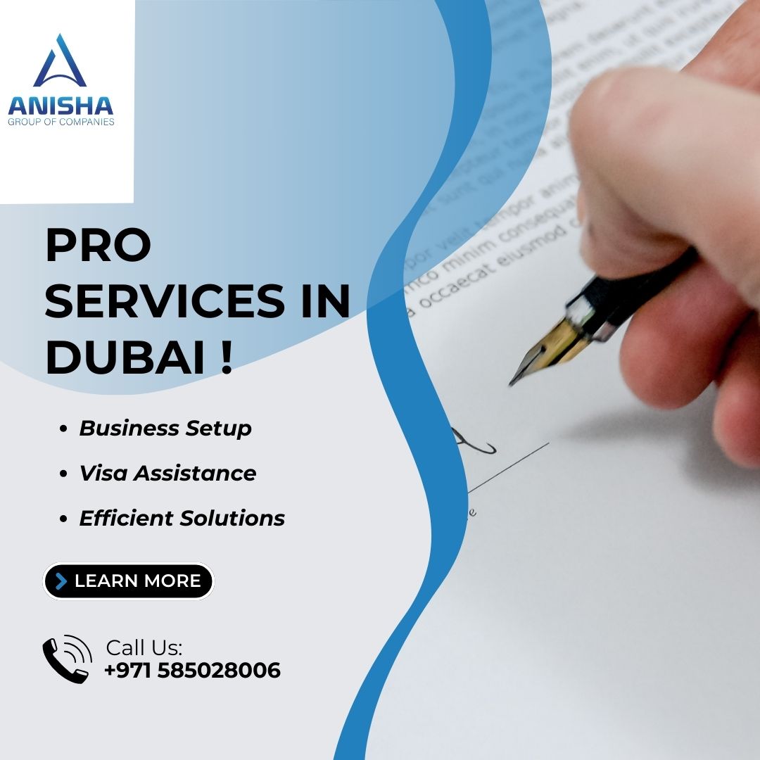 Unleash Excellence With Our Pro Services In Dubai