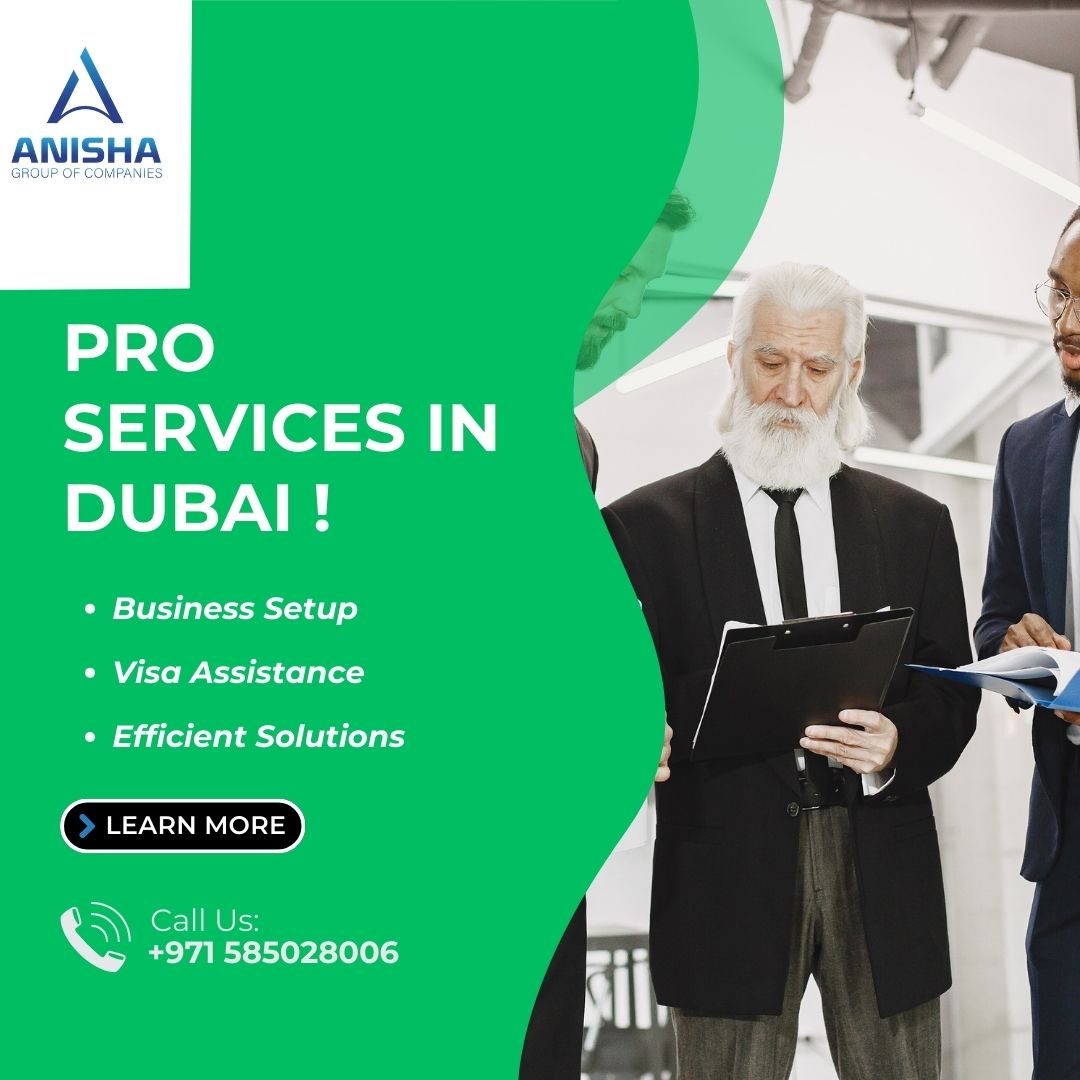 Unleash Excellence With Our Pro Services In Dubai