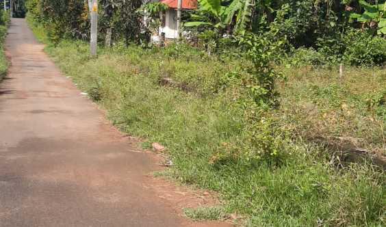 Land For Sale In Thiruvananthapuram Kerala India