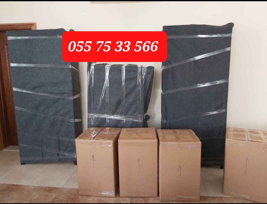 Professional Movers And Packers 055 75 33 566