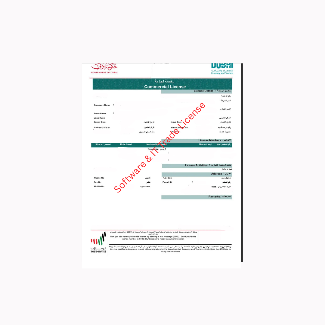 Software And It Business License in Dubai