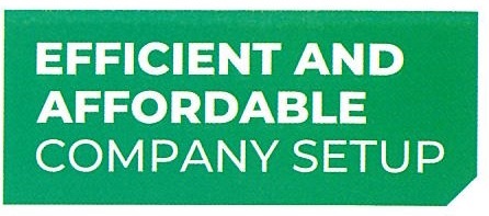 Express Pro Efficient And Affordable Company Setup
