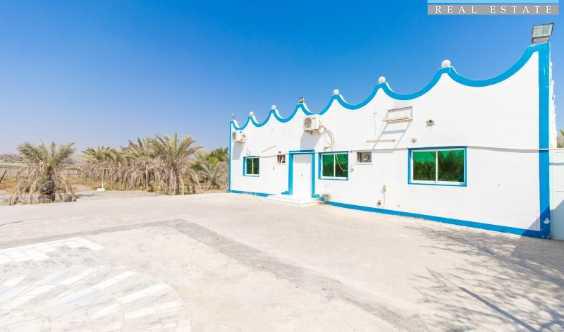 Five Bedroom En Suite Villa Surrounded By Date Palm Trees