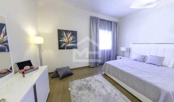 Large Garden And Contemporary Style Villa in Dubai