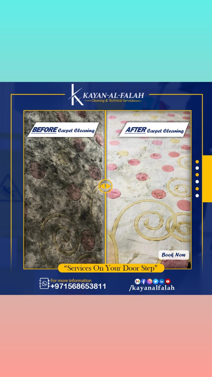 Sofa Carpet Mattress Deep Shampoo Cleaning