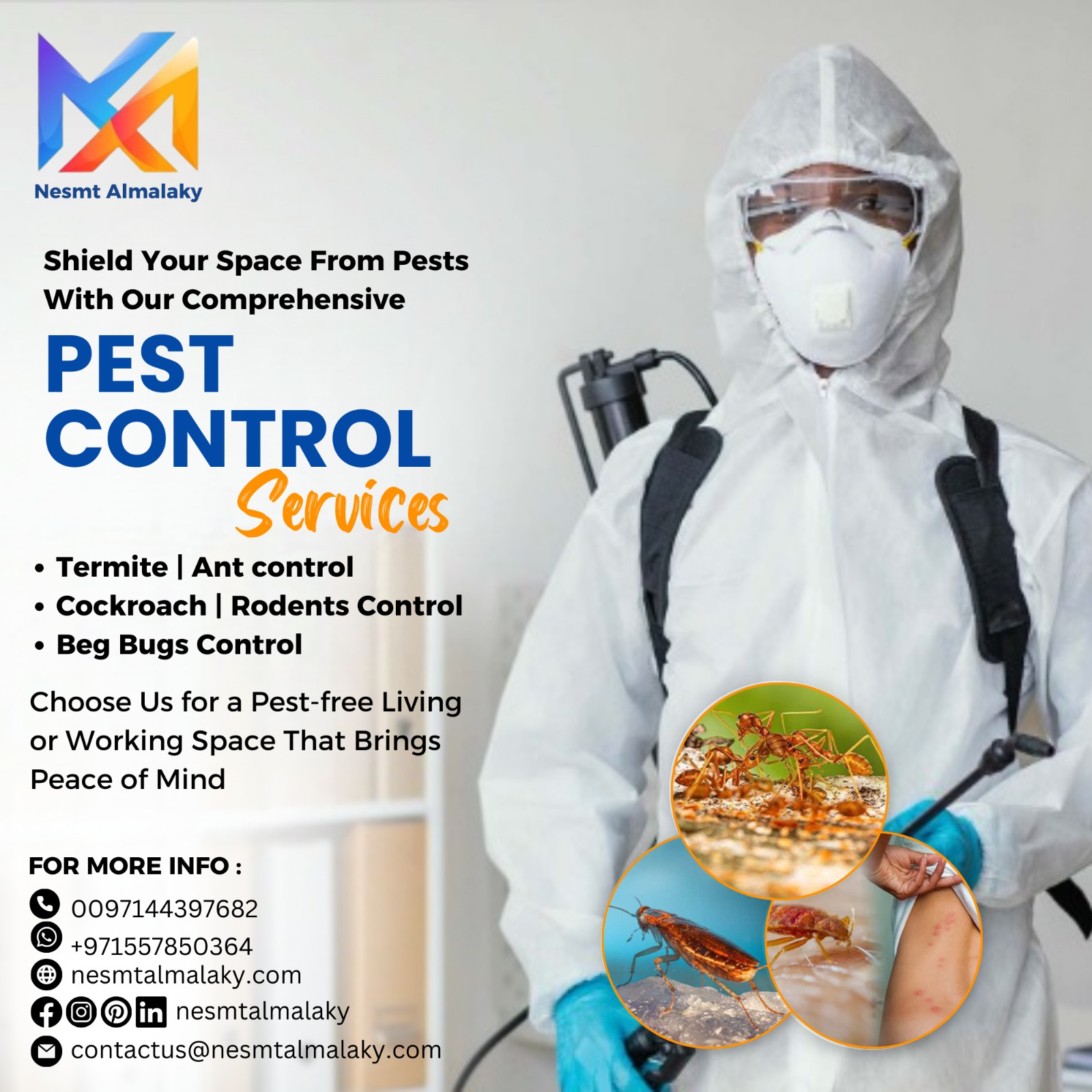 Pest Control Services in Dubai
